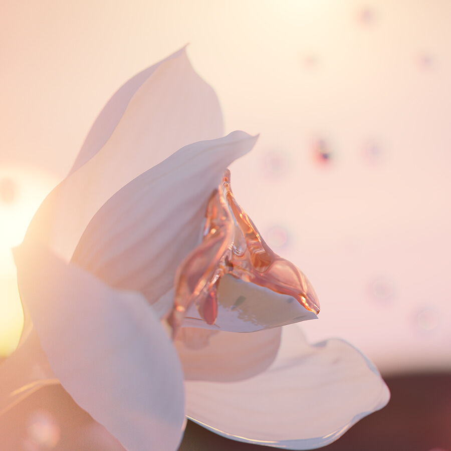 IDOLE唯我香水(玫瑰花香)