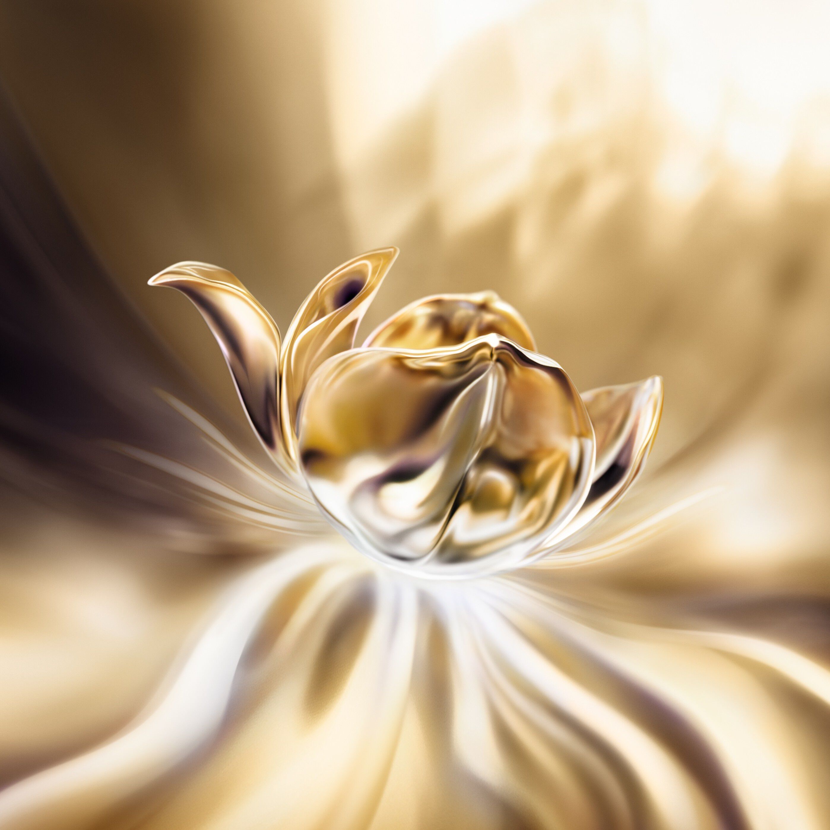 絕對完美永生玫瑰逆齡乳霜