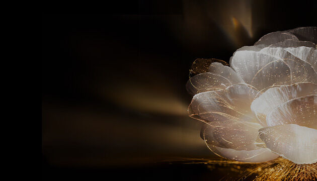 絕對完美黑鑽奢燦