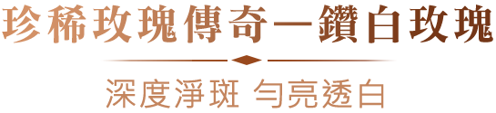 珍稀玫瑰傳奇—鑽白玫瑰