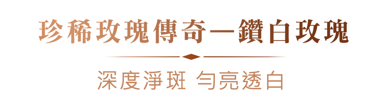 珍稀玫瑰傳奇—鑽白玫瑰